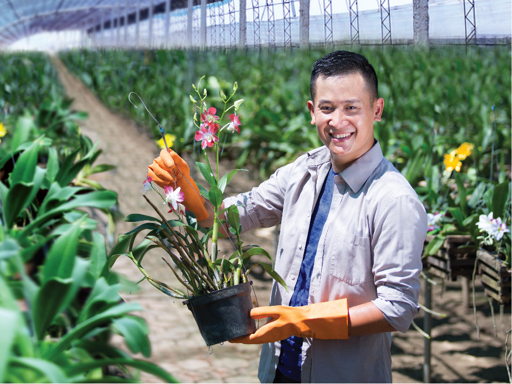 Loans for macadamia seedlings